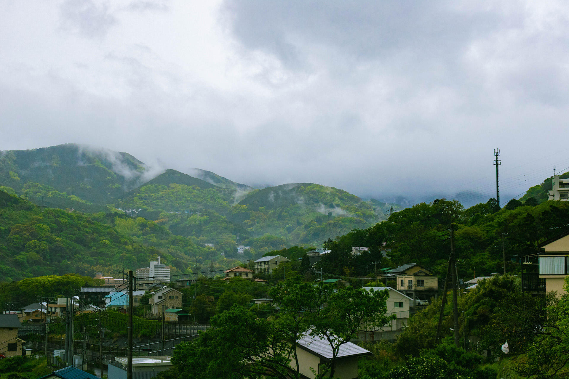 Landscape with trees on hills and thin wisps of clouds on their peaks.